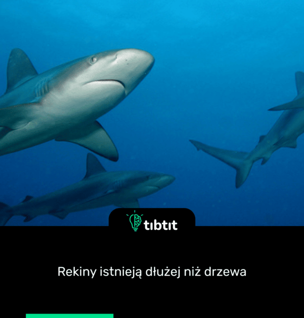 Rekiny istnieją dłużej niż drzewa