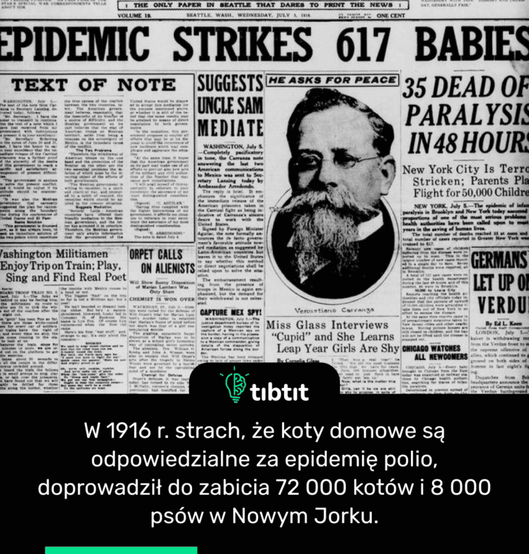 W 1916 r. strach, że koty domowe są odpowiedzialne za epidemię polio, doprowadził do zabicia 72 000 kotów i 8 000 psów w Nowym Jorku.