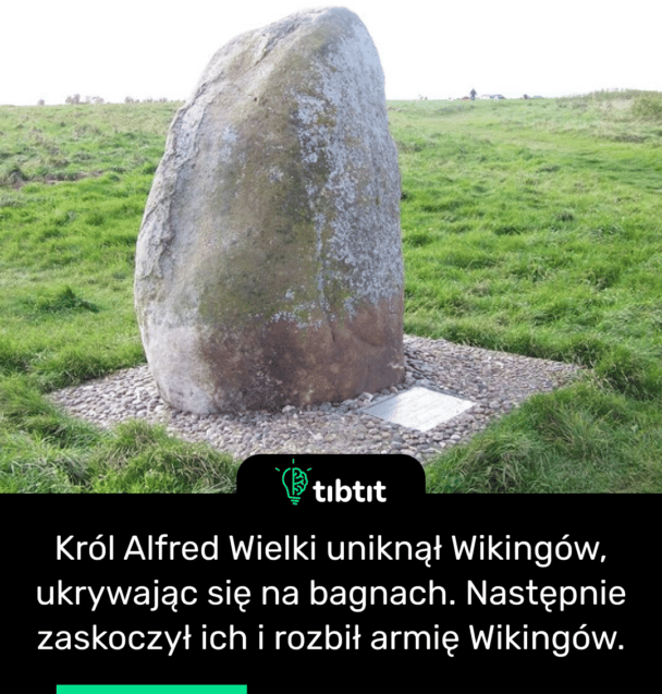 Król Alfred Wielki uniknął Wikingów, ukrywając się na bagnach. Następnie zaskoczył ich i rozbił armię Wikingów.