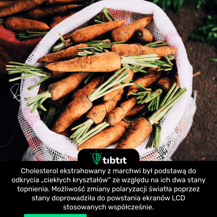 Cholesterol ekstrahowany z marchwi był podstawą do odkrycia „ciekłych kryształów” ze względu na ich dwa stany topnienia. Możliwość zmiany polaryzacji światła poprzez stany doprowadziła do powstania ekranów LCD stosowanych współcześnie.