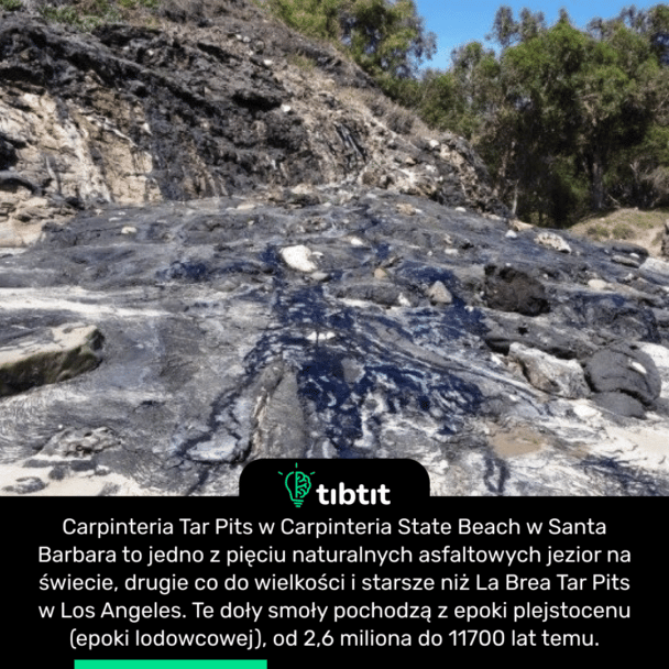 Carpinteria Tar Pits w Carpinteria State Beach w Santa Barbara to jedno z pięciu naturalnych asfaltowych jezior na świecie, drugie co do wielkości i starsze niż La Brea Tar Pits w Los Angeles. Te doły smoły pochodzą z epoki plejstocenu (epoki lodowcowej), od 2,6 miliona do 11700 lat temu.
