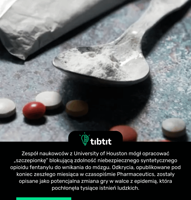Zespół naukowców z University of Houston mógł opracować „szczepionkę” blokującą zdolność niebezpiecznego syntetycznego opioidu fentanylu do wnikania do mózgu. Odkrycia, opublikowane pod koniec zeszłego miesiąca w czasopiśmie Pharmaceutics, zostały opisane jako potencjalna zmiana gry w walce z epidemią, która pochłonęła tysiące istnień ludzkich.