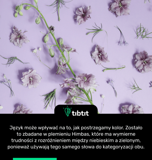 Język może wpływać na to, jak postrzegamy kolor. Zostało to zbadane w plemieniu Himbas, które ma wymierne trudności z rozróżnieniem między niebieskim a zielonym, ponieważ używają tego samego słowa do kategoryzacji obu.