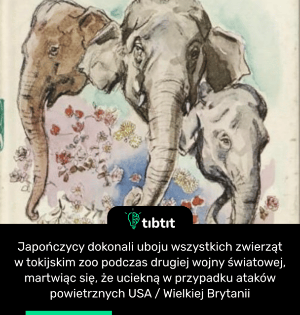 Japończycy dokonali uboju wszystkich zwierząt w tokijskim zoo podczas drugiej wojny światowej, martwiąc się, że uciekną w przypadku ataków powietrznych USA / Wielkiej Brytanii