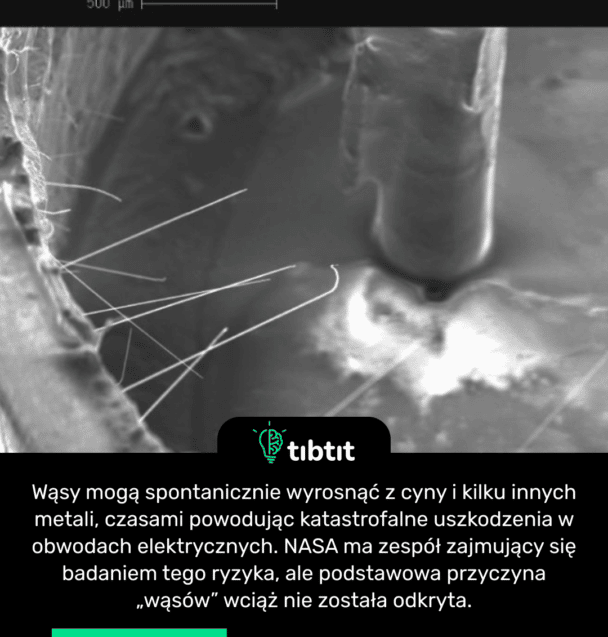 Wąsy mogą spontanicznie wyrosnąć z cyny i kilku innych metali, czasami powodując katastrofalne uszkodzenia w obwodach elektrycznych. NASA ma zespół zajmujący się badaniem tego ryzyka, ale podstawowa przyczyna „wąsów” wciąż nie została odkryta.
