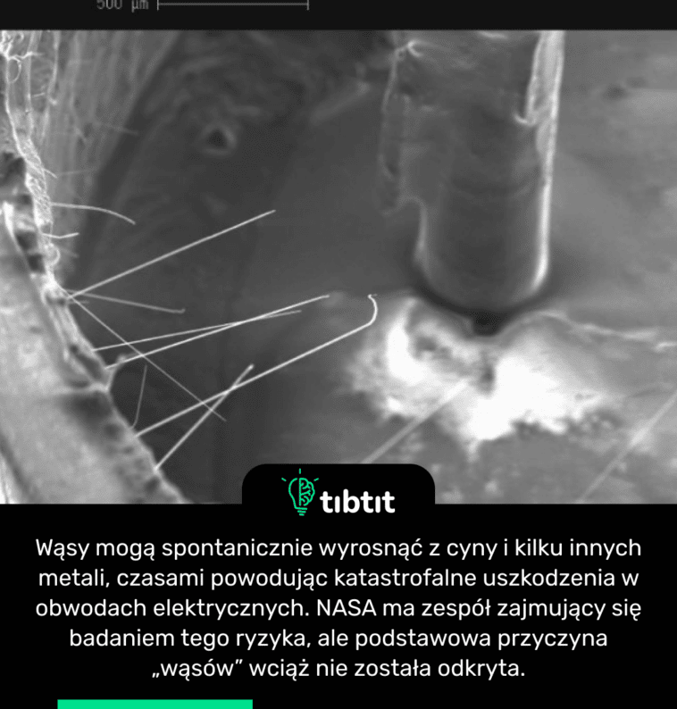 Wąsy mogą spontanicznie wyrosnąć z cyny i kilku innych metali, czasami powodując katastrofalne uszkodzenia w obwodach elektrycznych. NASA ma zespół zajmujący się badaniem tego ryzyka, ale podstawowa przyczyna „wąsów” wciąż nie została odkryta.