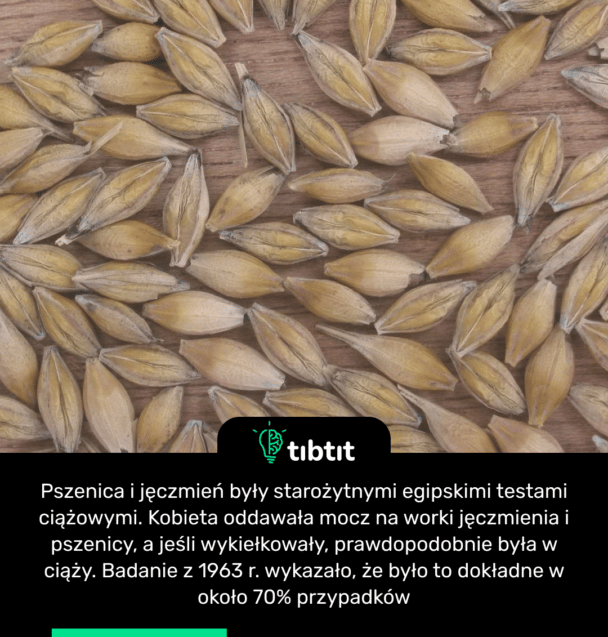 Pszenica i jęczmień były starożytnymi egipskimi testami ciążowymi. Kobieta oddawała mocz na worki jęczmienia i pszenicy, a jeśli wykiełkowały, prawdopodobnie była w ciąży. Badanie z 1963 r. wykazało, że było to dokładne w około 70% przypadków