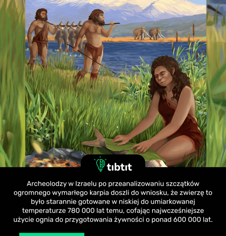 Archeolodzy w Izraelu po przeanalizowaniu szczątków ogromnego wymarłego karpia doszli do wniosku, że zwierzę to było starannie gotowane w niskiej do umiarkowanej temperaturze 780 000 lat temu, cofając najwcześniejsze użycie ognia do przygotowania żywności o ponad 600 000 lat.