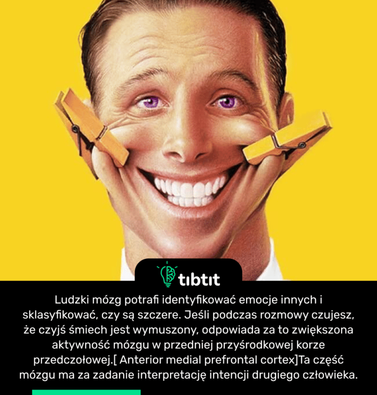 Ludzki mózg potrafi identyfikować emocje innych i sklasyfikować, czy są szczere.  Jeśli podczas rozmowy czujesz, że czyjś śmiech jest wymuszony, odpowiada za to zwiększona aktywność mózgu w przedniej przyśrodkowej korze przedczołowej.[ Anterior medial prefrontal cortex]Ta część mózgu ma za zadanie interpretację intencji drugiego człowieka.