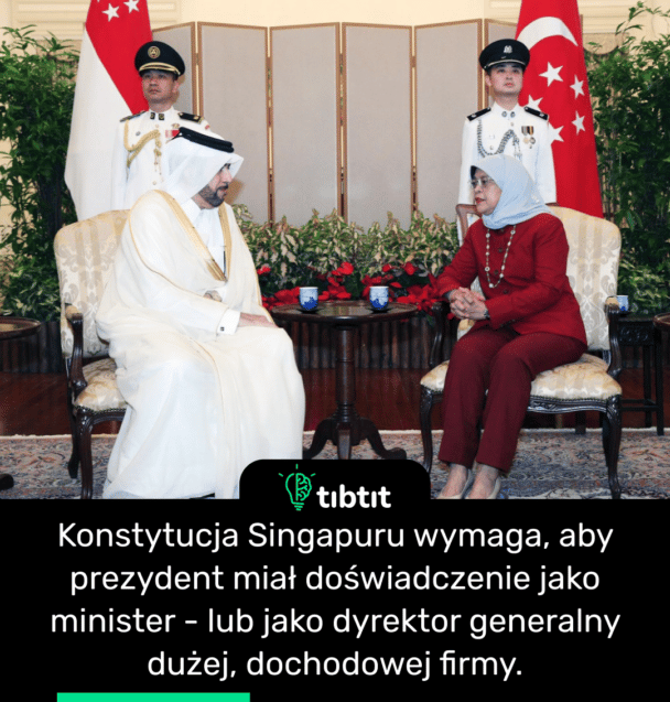 Konstytucja Singapuru wymaga, aby prezydent miał doświadczenie jako minister - lub jako dyrektor generalny dużej, dochodowej firmy.