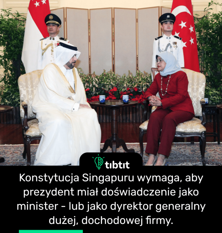 Konstytucja Singapuru wymaga, aby prezydent miał doświadczenie jako minister - lub jako dyrektor generalny dużej, dochodowej firmy.