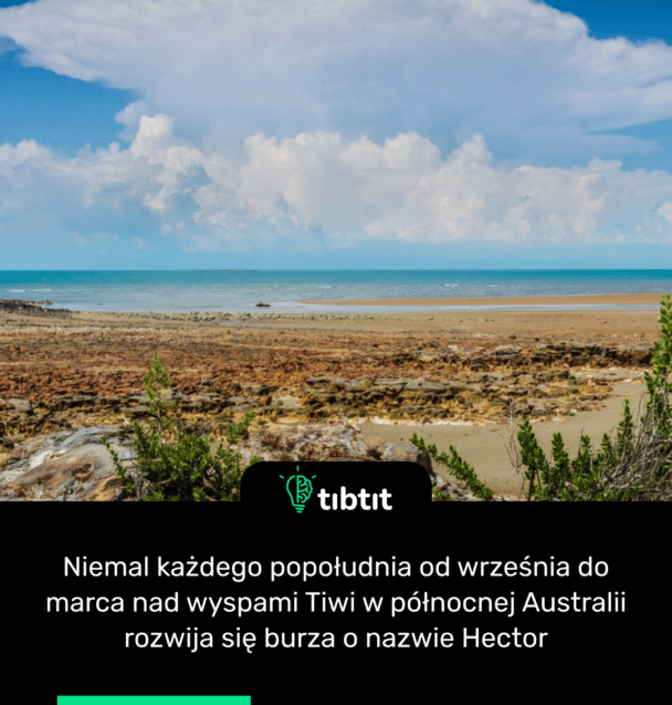 Niemal każdego popołudnia od września do marca nad wyspami Tiwi w północnej Australii rozwija się burza o nazwie Hector