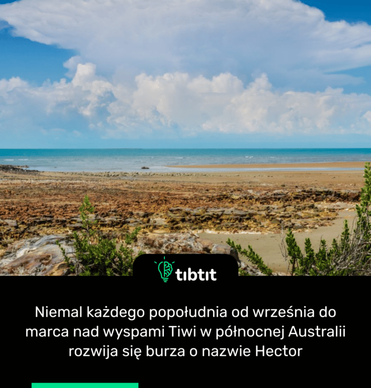 Niemal każdego popołudnia od września do marca nad wyspami Tiwi w północnej Australii rozwija się burza o nazwie Hector