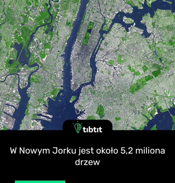 W Nowym Jorku jest około 5,2 miliona drzew