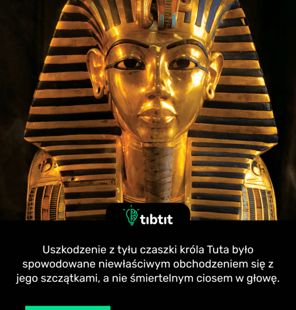 Uszkodzenie z tyłu czaszki króla Tuta było spowodowane niewłaściwym obchodzeniem się z jego szczątkami, a nie śmiertelnym ciosem w głowę.
