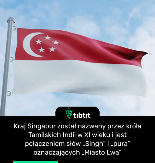 Kraj Singapur został nazwany przez króla Tamilskich Indii w XI wieku i jest połączeniem słów „Singh” i „pura” oznaczających „Miasto Lwa”