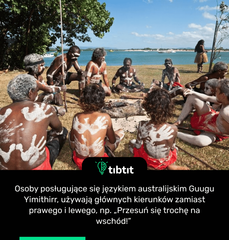 Osoby posługujące się językiem australijskim Guugu Yimithirr, używają głównych kierunków zamiast prawego i lewego, np. „Przesuń się trochę na wschód!”