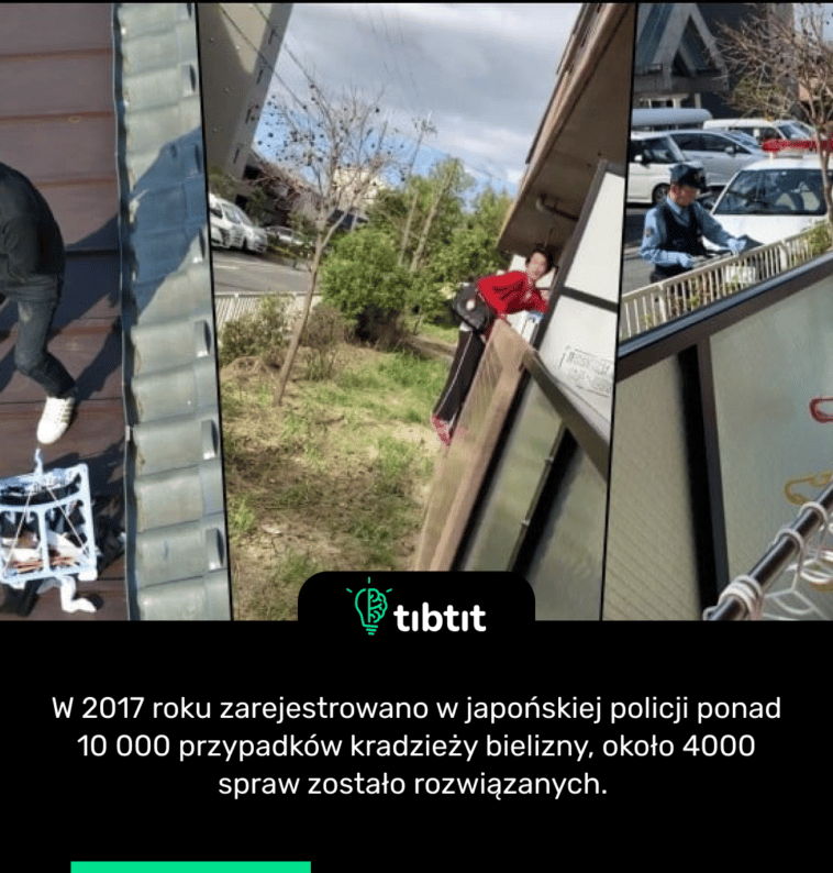 W 2017 roku zarejestrowano w japońskiej policji ponad 10 000 przypadków kradzieży bielizny, około 4000 spraw zostało rozwiązanych.
