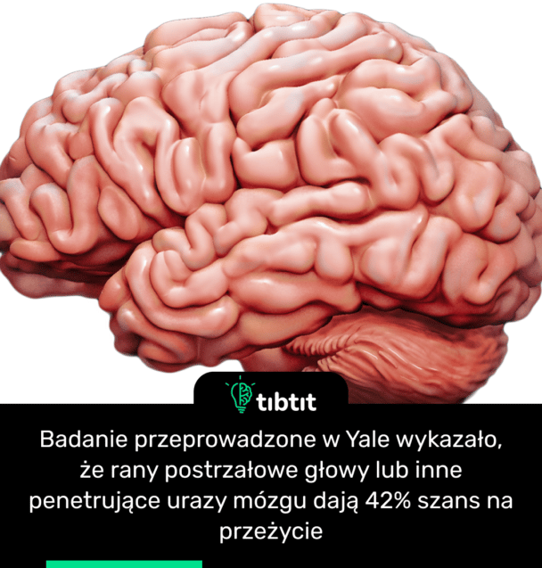 Badanie przeprowadzone w Yale wykazało, że rany postrzałowe głowy lub inne penetrujące urazy mózgu dają 42% szans na przeżycie