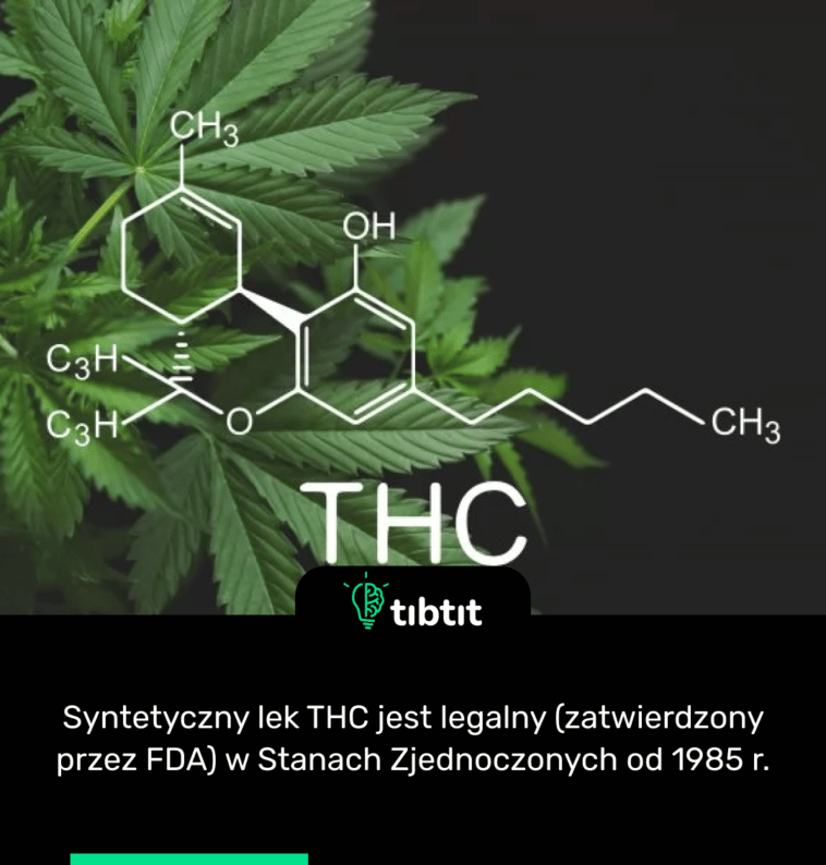 Syntetyczny lek THC jest legalny (zatwierdzony przez FDA) w Stanach Zjednoczonych od 1985 r.