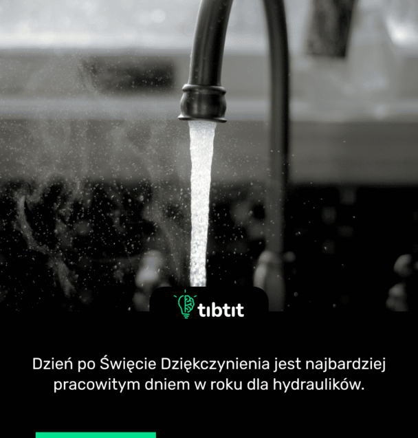 Dzień po Święcie Dziękczynienia jest najbardziej pracowitym dniem w roku dla hydraulików.