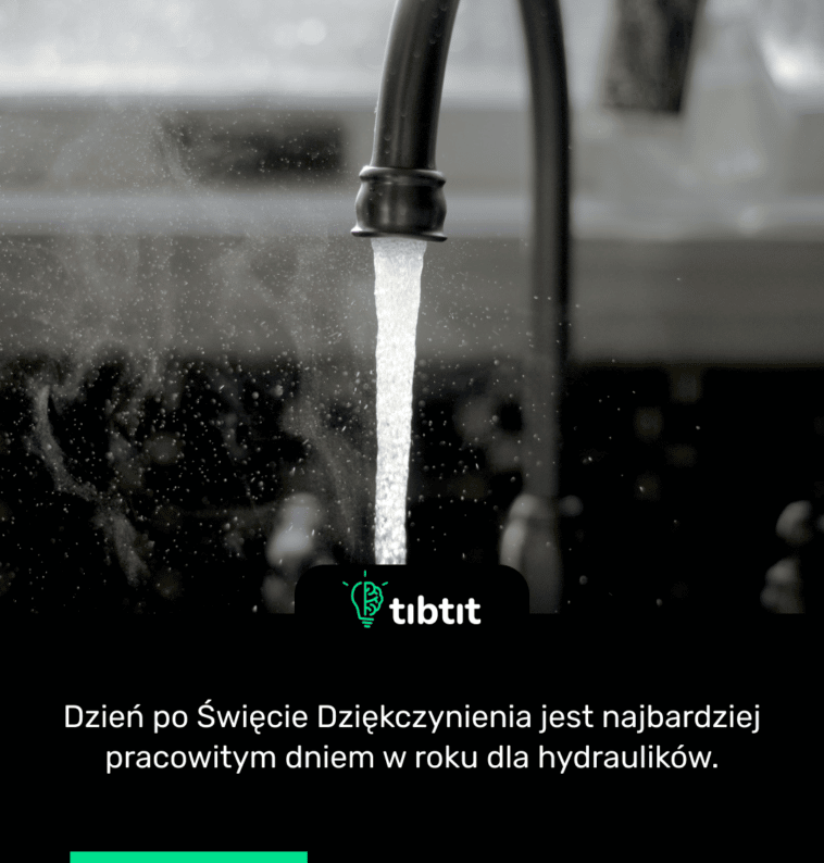 Dzień po Święcie Dziękczynienia jest najbardziej pracowitym dniem w roku dla hydraulików.