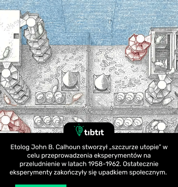 Etolog John B. Calhoun stworzył „szczurze utopie” w celu przeprowadzenia eksperymentów na przeludnienie w latach 1958-1962. Ostatecznie eksperymenty zakończyły się upadkiem społecznym.