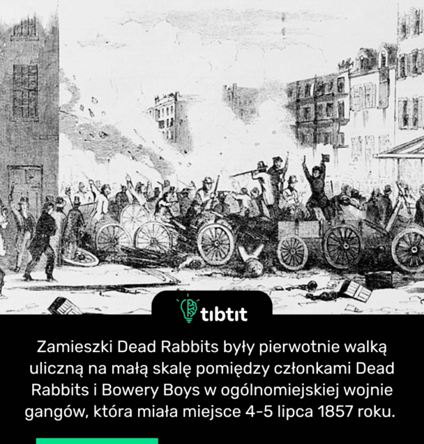 Zamieszki Dead Rabbits były pierwotnie walką uliczną na małą skalę pomiędzy członkami Dead Rabbits i Bowery Boys w ogólnomiejskiej wojnie gangów, która miała miejsce 4-5 lipca 1857 roku.
