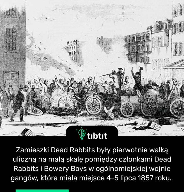 Zamieszki Dead Rabbits były pierwotnie walką uliczną na małą skalę pomiędzy członkami Dead Rabbits i Bowery Boys w ogólnomiejskiej wojnie gangów, która miała miejsce 4-5 lipca 1857 roku.