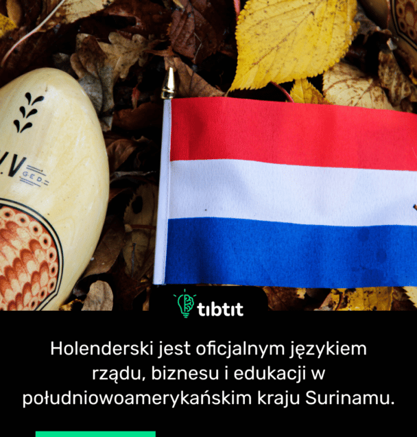 Holenderski jest oficjalnym językiem rządu, biznesu i edukacji w południowoamerykańskim kraju Surinamu.