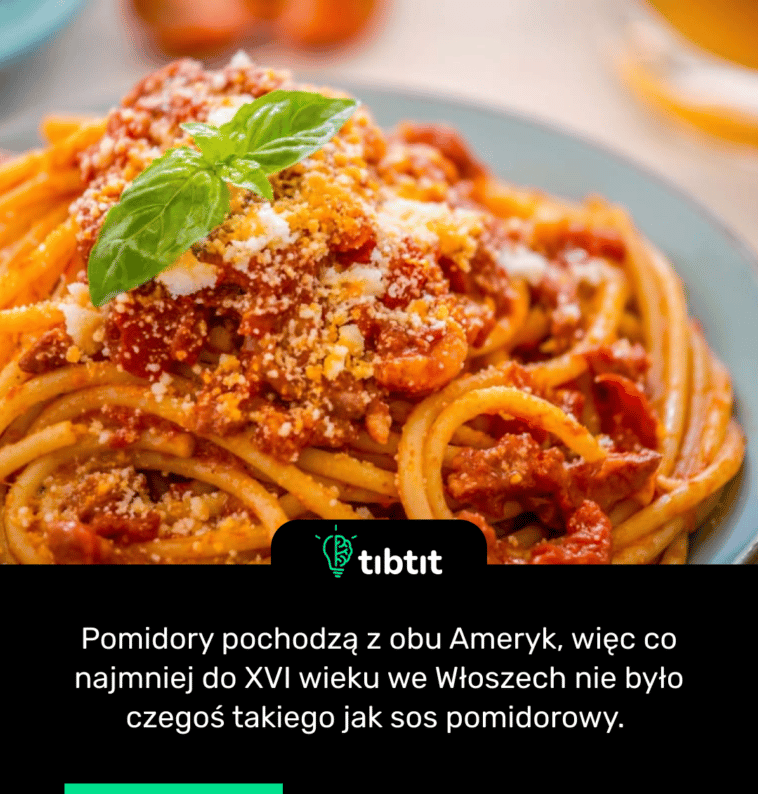 Pomidory pochodzą z obu Ameryk, więc co najmniej do XVI wieku we Włoszech nie było czegoś takiego jak sos pomidorowy.