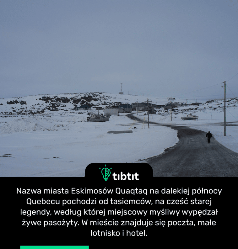 Nazwa miasta Eskimosów Quaqtaq na dalekiej północy Quebecu pochodzi od tasiemców, na cześć starej legendy, według której miejscowy myśliwy wypędzał żywe pasożyty. W mieście znajduje się poczta, małe lotnisko i hotel.