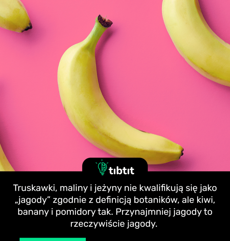 Truskawki, maliny i jeżyny nie kwalifikują się jako „jagody” zgodnie z definicją botaników, ale kiwi, banany i pomidory tak. Przynajmniej jagody to rzeczywiście jagody.