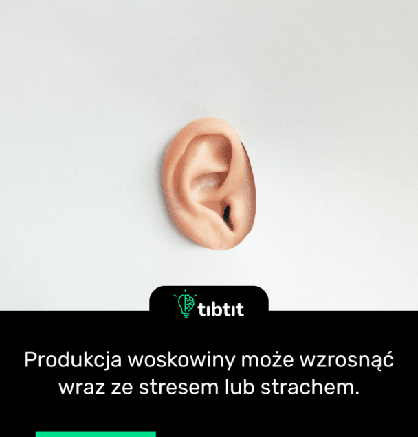 Produkcja woskowiny może wzrosnąć wraz ze stresem lub strachem.