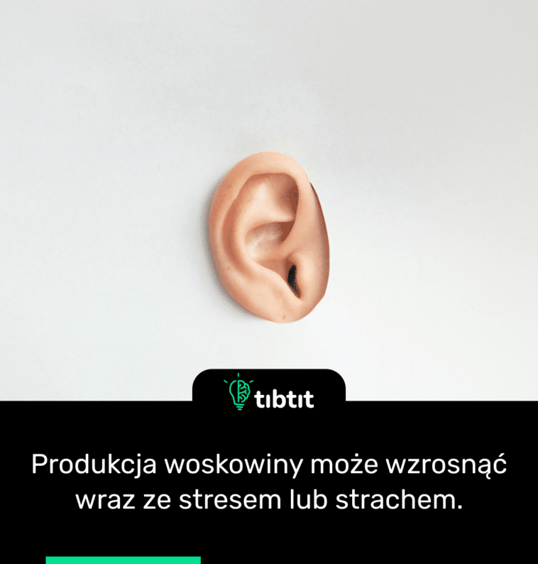 Produkcja woskowiny może wzrosnąć wraz ze stresem lub strachem.