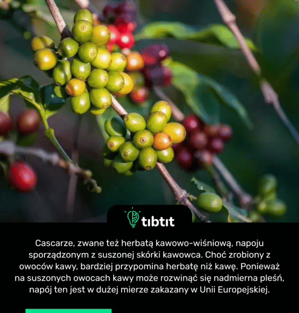 Cascara, zwana też herbatą kawowo-wiśniową, napój sporządzony z suszonej skórki kawowca. Choć zrobiony z owoców kawy, bardziej przypomina herbatę niż kawę. Ponieważ na suszonych owocach kawy może rozwinąć się nadmierna pleśń, napój ten jest w dużej mierze zakazany w Unii Europejskiej.