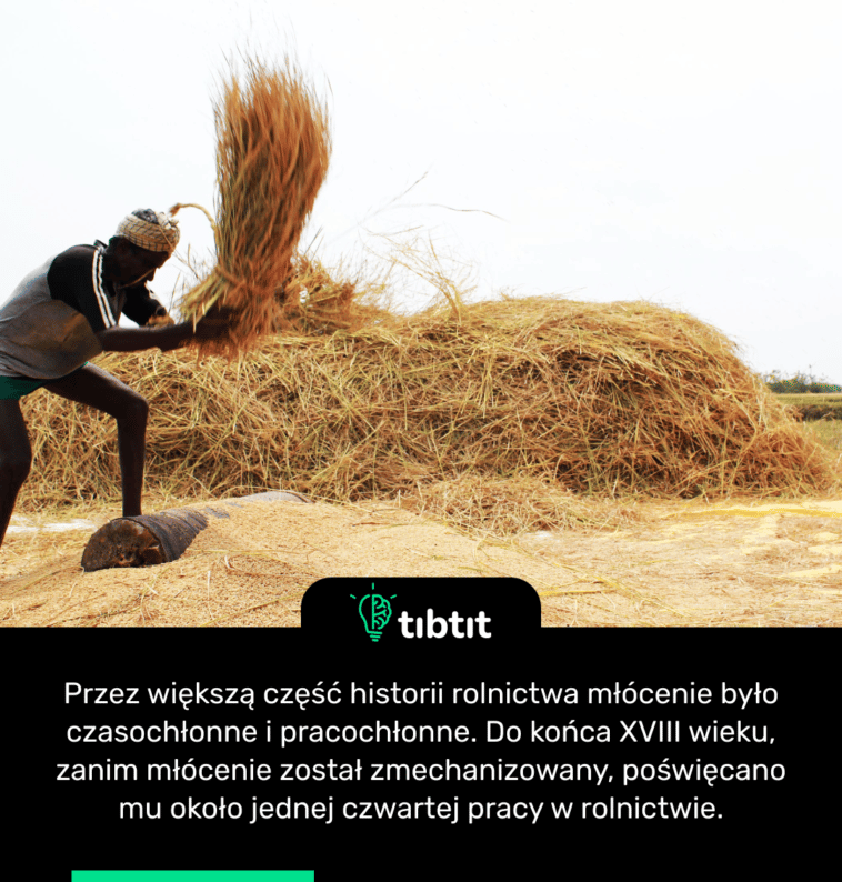 Przez większą część historii rolnictwa młócenie było czasochłonne i pracochłonne. Do końca XVIII wieku, zanim młócenie zostało zmechanizowane, poświęcano mu około jednej czwartej pracy w rolnictwie.