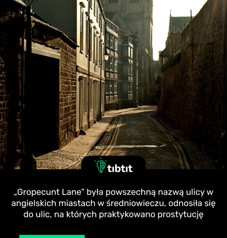 „Gropecunt Lane” była powszechną nazwą ulicy w angielskich miastach w średniowieczu, odnosiła się do ulic, na których praktykowano prostytucję