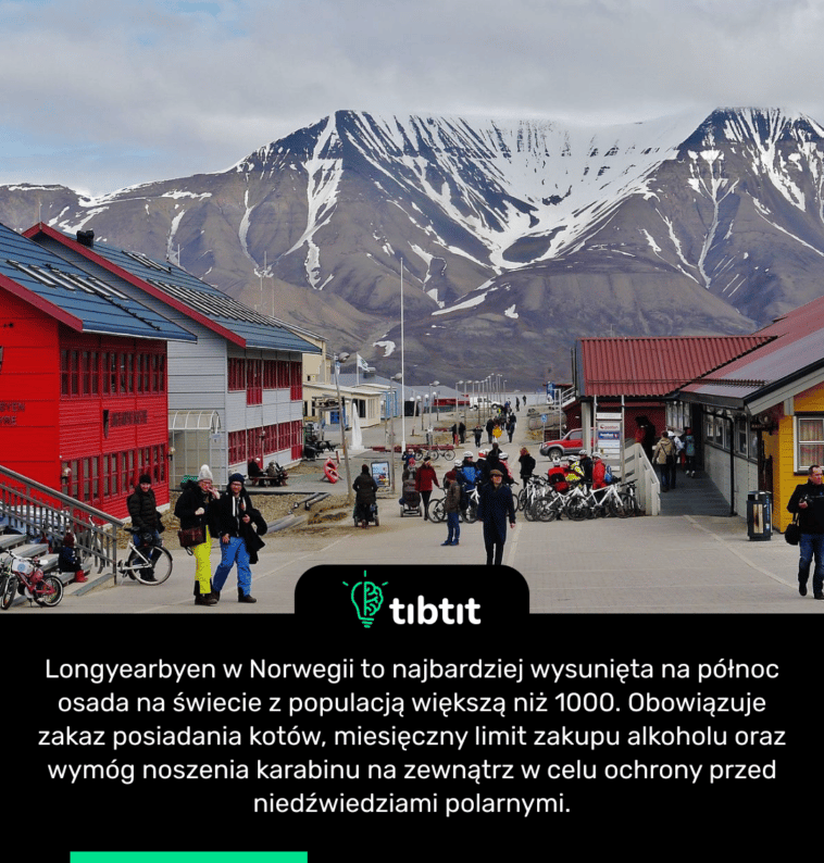 Longyearbyen w Norwegii to najbardziej wysunięta na północ osada na świecie z populacją większą niż 1000. Obowiązuje zakaz posiadania kotów, miesięczny limit zakupu alkoholu oraz wymóg noszenia karabinu na zewnątrz w celu ochrony przed niedźwiedziami polarnymi.