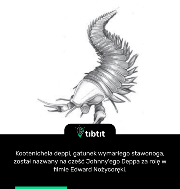Kootenichela deppi, gatunek wymarłego stawonoga, został nazwany na cześć Johnny'ego Deppa za rolę w filmie Edward Nożycoręki.