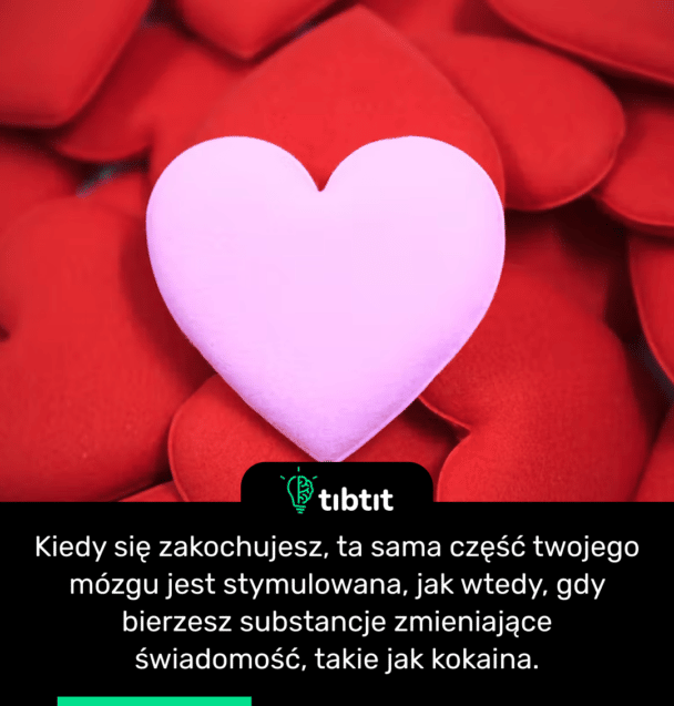 Kiedy się zakochujesz, ta sama część twojego mózgu jest stymulowana, jak wtedy, gdy bierzesz substancje zmieniające świadomość, takie jak kokaina.