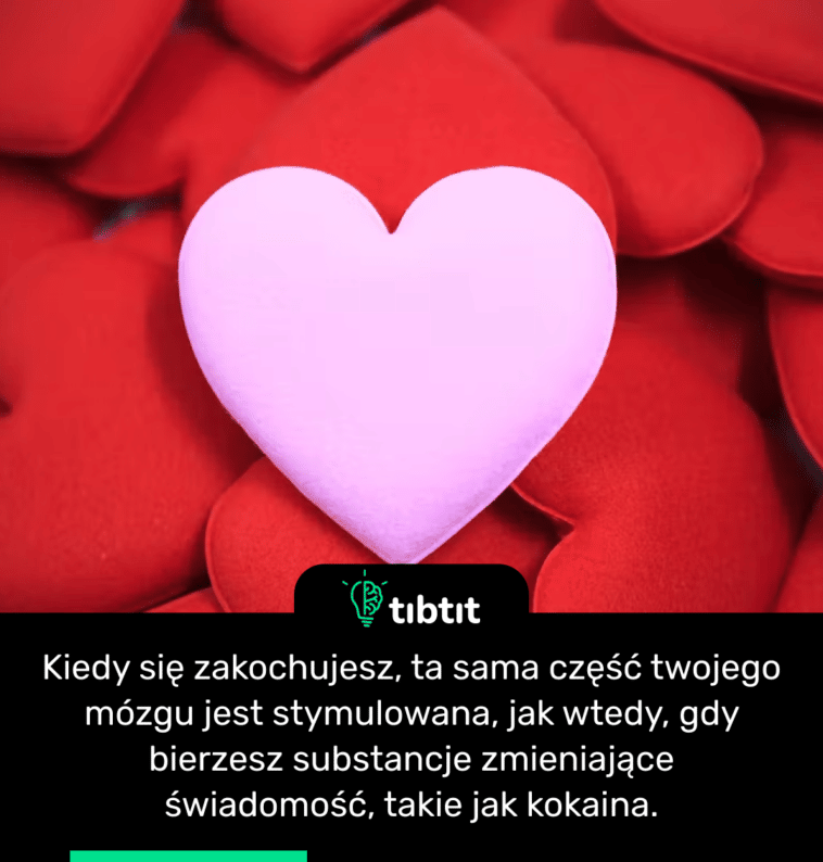 Kiedy się zakochujesz, ta sama część twojego mózgu jest stymulowana, jak wtedy, gdy bierzesz substancje zmieniające świadomość, takie jak kokaina.