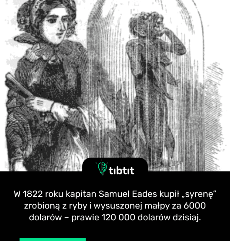 W 1822 roku kapitan Samuel Eades kupił „syrenę” zrobioną z ryby i wysuszonej małpy za 6000 dolarów – prawie 120 000 dolarów dzisiaj.