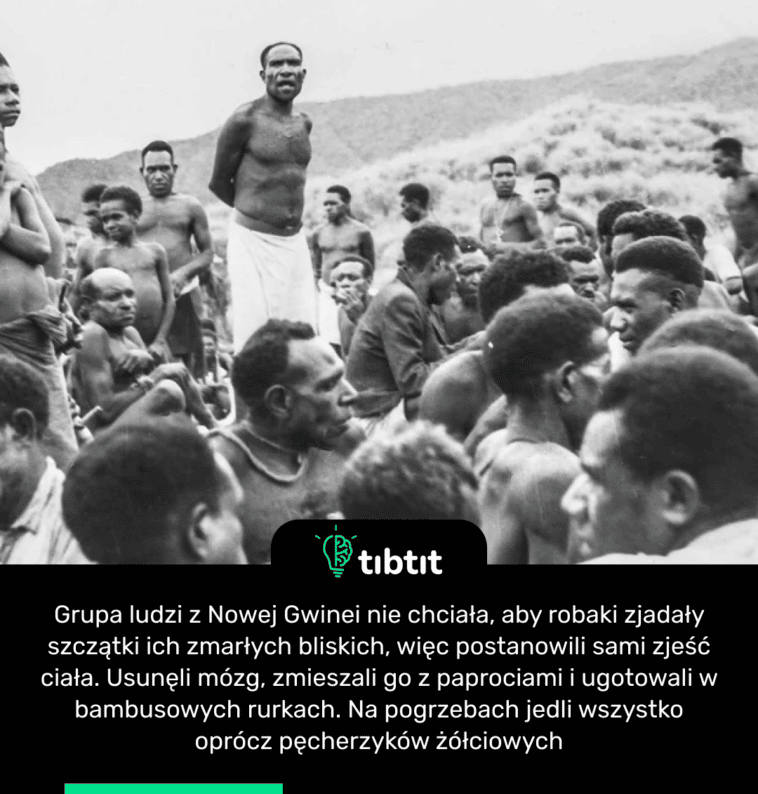 Grupa ludzi z Nowej Gwinei nie chciała, aby robaki zjadały szczątki ich zmarłych bliskich, więc postanowili sami zjeść ciała. Usunęli mózg, zmieszali go z paprociami i ugotowali w bambusowych rurkach. Na pogrzebach jedli wszystko oprócz pęcherzyków żółciowych