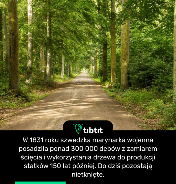 W 1831 roku szwedzka marynarka wojenna posadziła ponad 300 000 dębów z zamiarem ścięcia i wykorzystania drzewa do produkcji statków 150 lat później. Do dziś pozostają nietknięte.