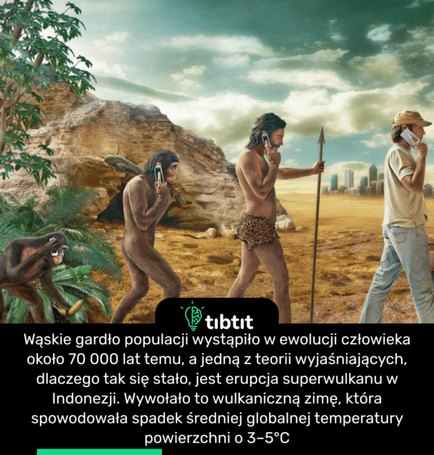 Wąskie gardło populacji wystąpiło w ewolucji człowieka około 70 000 lat temu, a jedną z teorii wyjaśniających, dlaczego tak się stało, jest erupcja superwulkanu w Indonezji. Wywołało to wulkaniczną zimę, która spowodowała spadek średniej globalnej temperatury powierzchni o 3–5°C