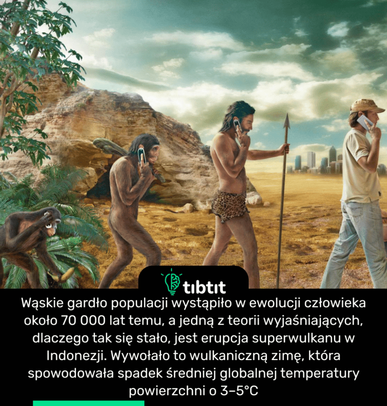 Wąskie gardło populacji wystąpiło w ewolucji człowieka około 70 000 lat temu, a jedną z teorii wyjaśniających, dlaczego tak się stało, jest erupcja superwulkanu w Indonezji. Wywołało to wulkaniczną zimę, która spowodowała spadek średniej globalnej temperatury powierzchni o 3–5°C