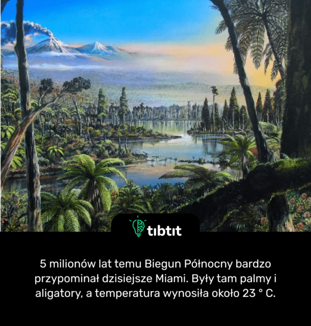 5 milionów lat temu Biegun Północny bardzo przypominał dzisiejsze Miami. Były tam palmy i aligatory, a temperatura wynosiła około 23 ° C.