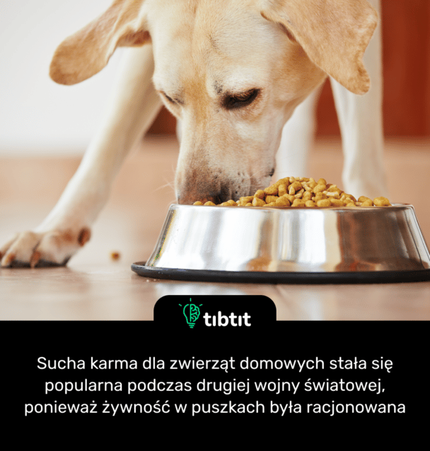 Sucha karma dla zwierząt domowych stała się popularna podczas drugiej wojny światowej, ponieważ żywność w puszkach była racjonowana