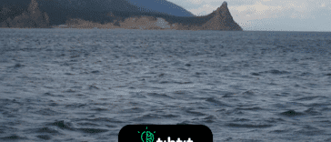 Jezioro Bajkał znajduje się w południowo-wschodniej Syberii i jest najstarszym i najgłębszym jeziorem na świecie, ma 25 milionów lat i głębokość 1700 metrów. Zawiera 20% niezamarzniętej słodkiej wody na świecie i jest domem dla bogatej i niezwykłej fauny słodkowodnej, która ma znaczącą wartość dla nauki o ewolucji.